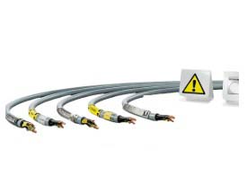 Ethernet cable